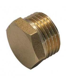 Заглушка НР 2"