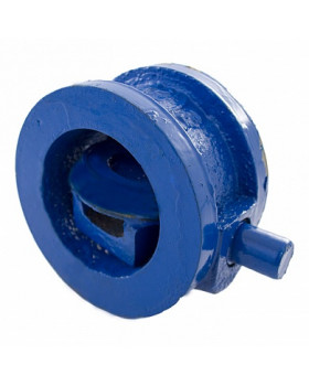 Клапан обратный 19ч21(01)бр 250